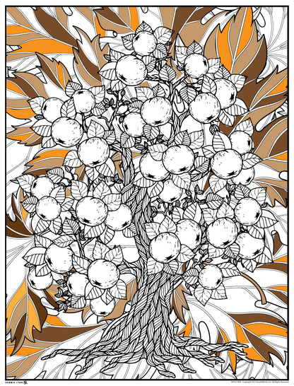 Apple Tree Personalized Giant Coloring Poster 46"x60"