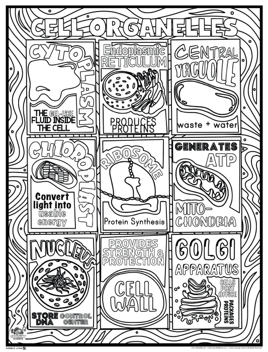 Cell Organelles Spunky Science Personalized Giant Coloring Poster 46"x60"