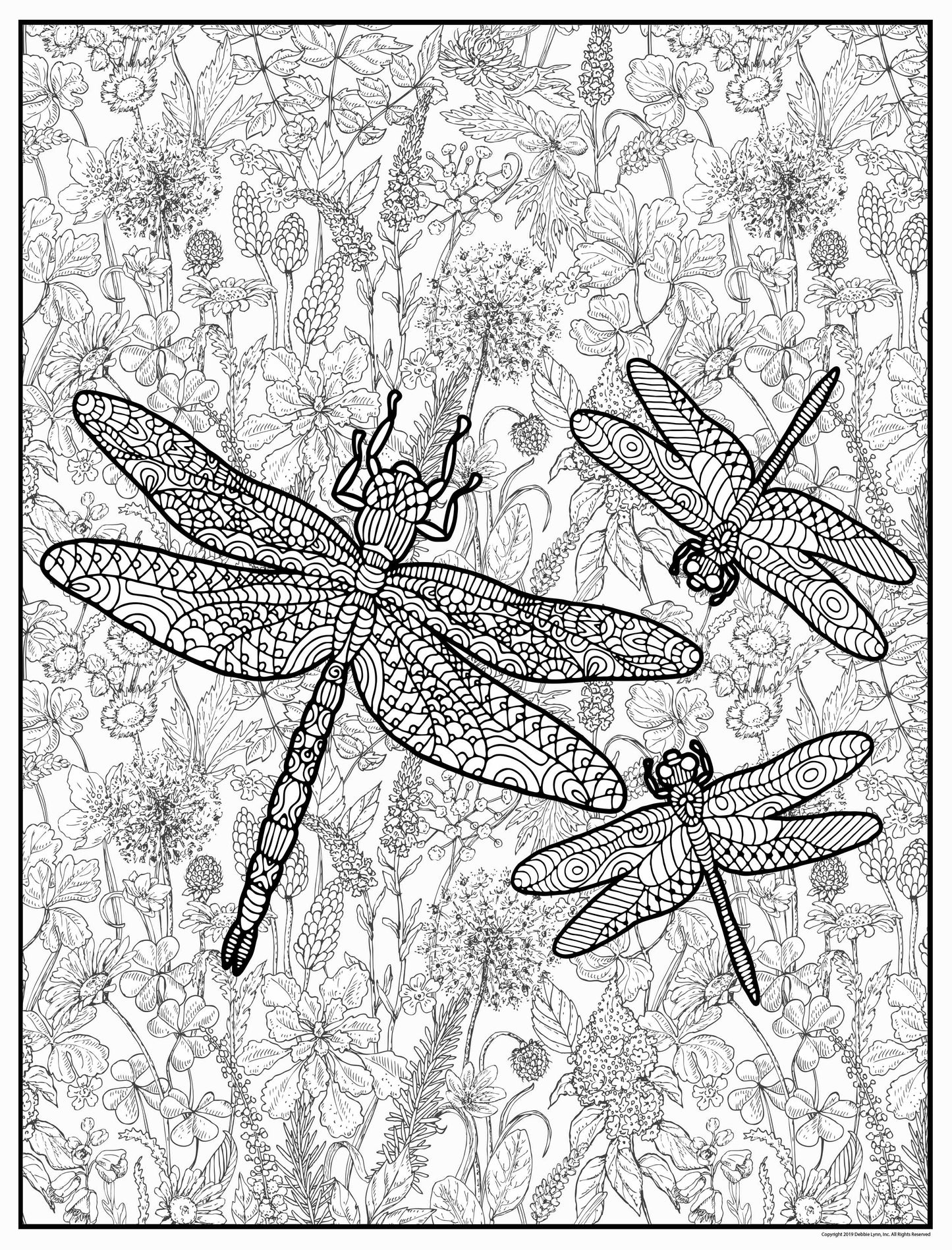 Dragonflies Personalized Giant Coloring Poster 46"x60"