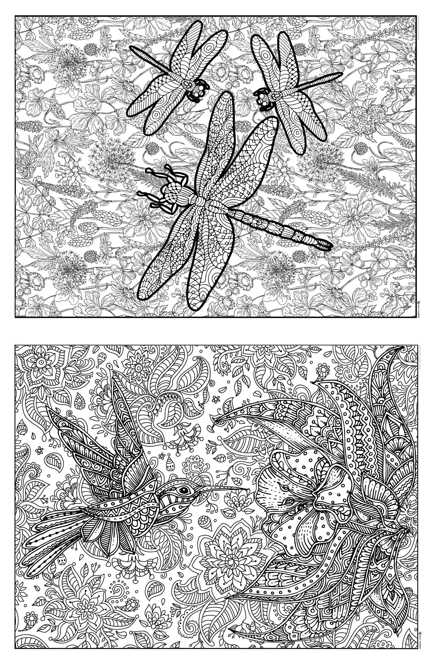 Hummingbird & Dragon 2in1 Combo Giant Coloring Poster