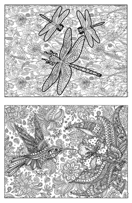 Hummingbird & Dragon 2in1 Combo Giant Coloring Poster