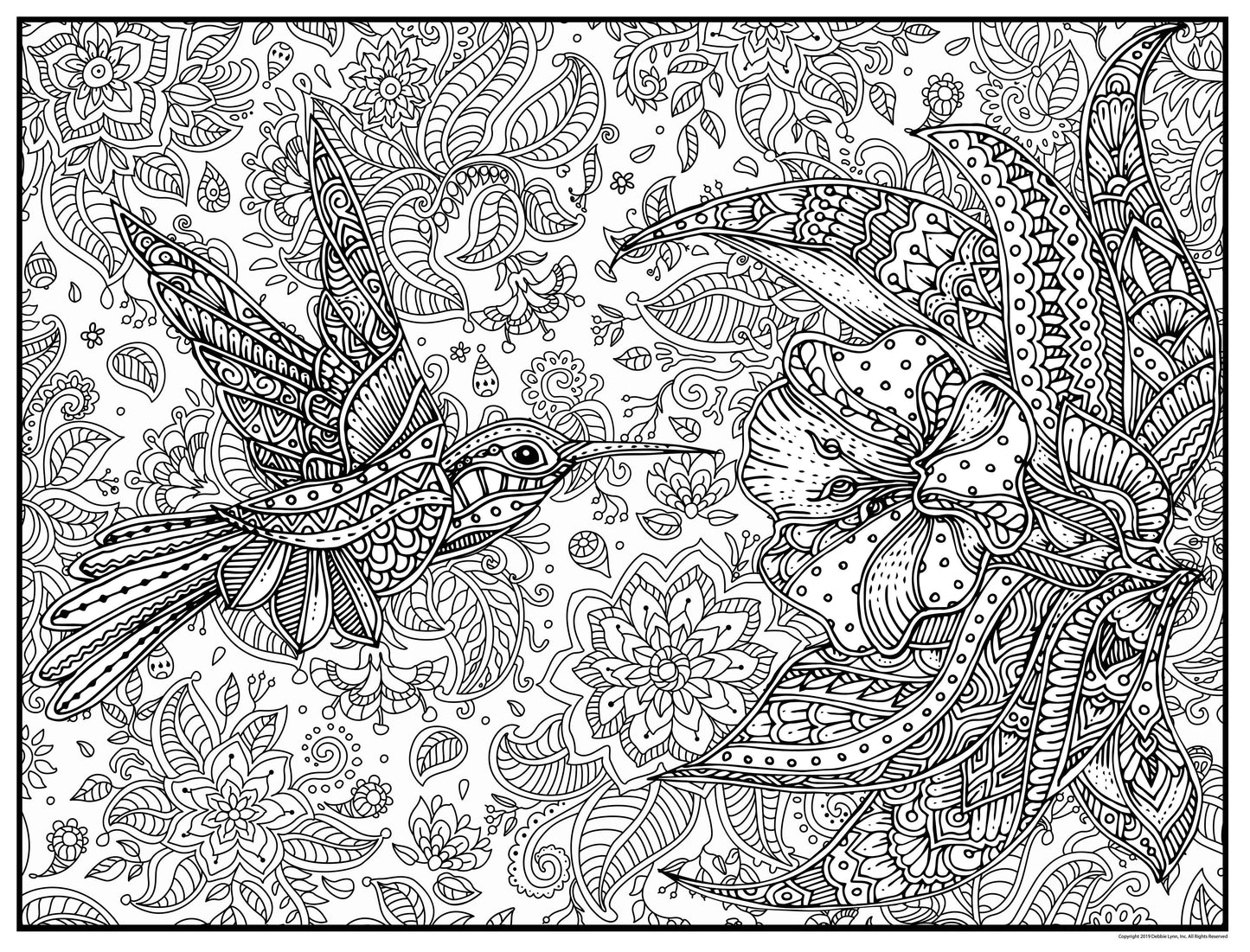 HUMMINGBIRD- Super Huge 48"x63" Coloring Poster