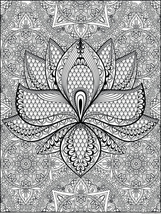 Lotus Personalized Giant Coloring Poster 46"x60"