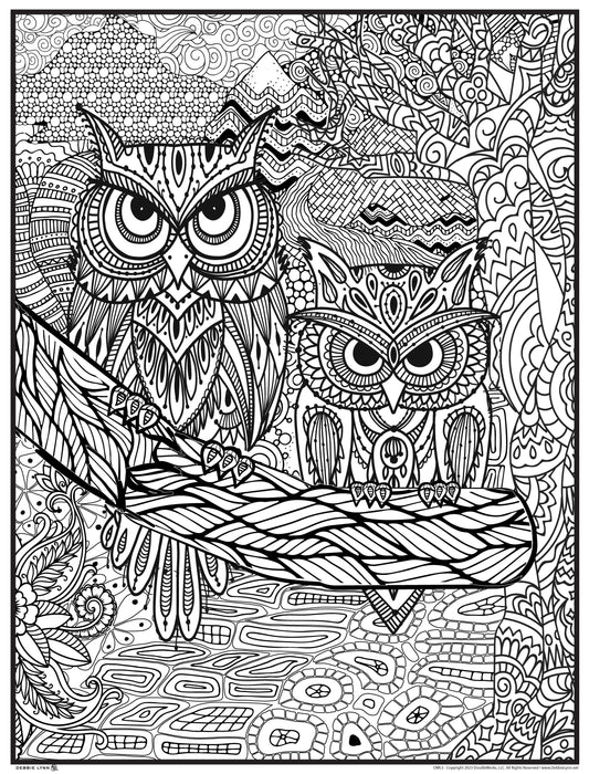 Owl Personalized Giant Coloring Poster 46"x60"