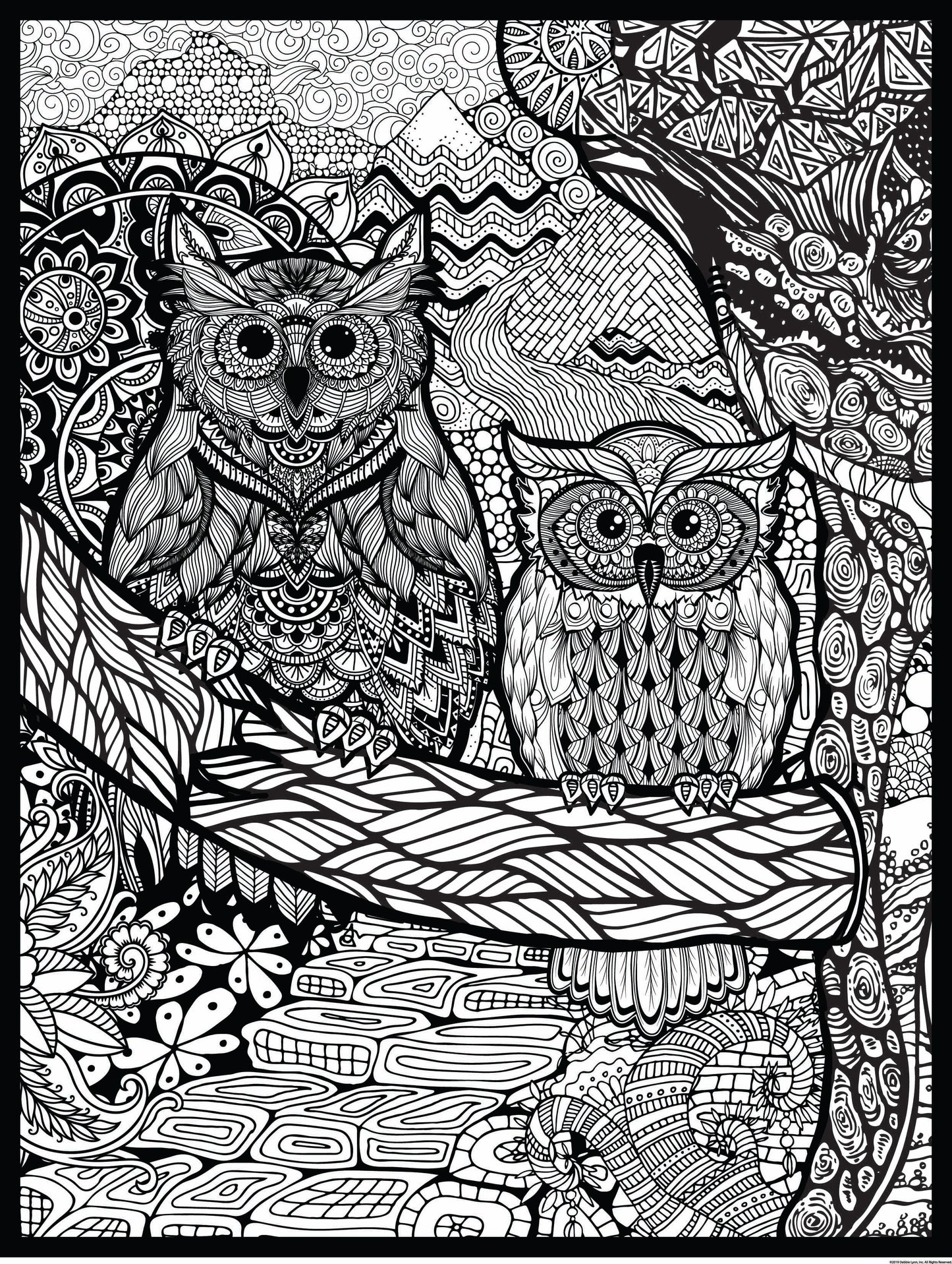 DEBBIE LYNN COLORING BOOK