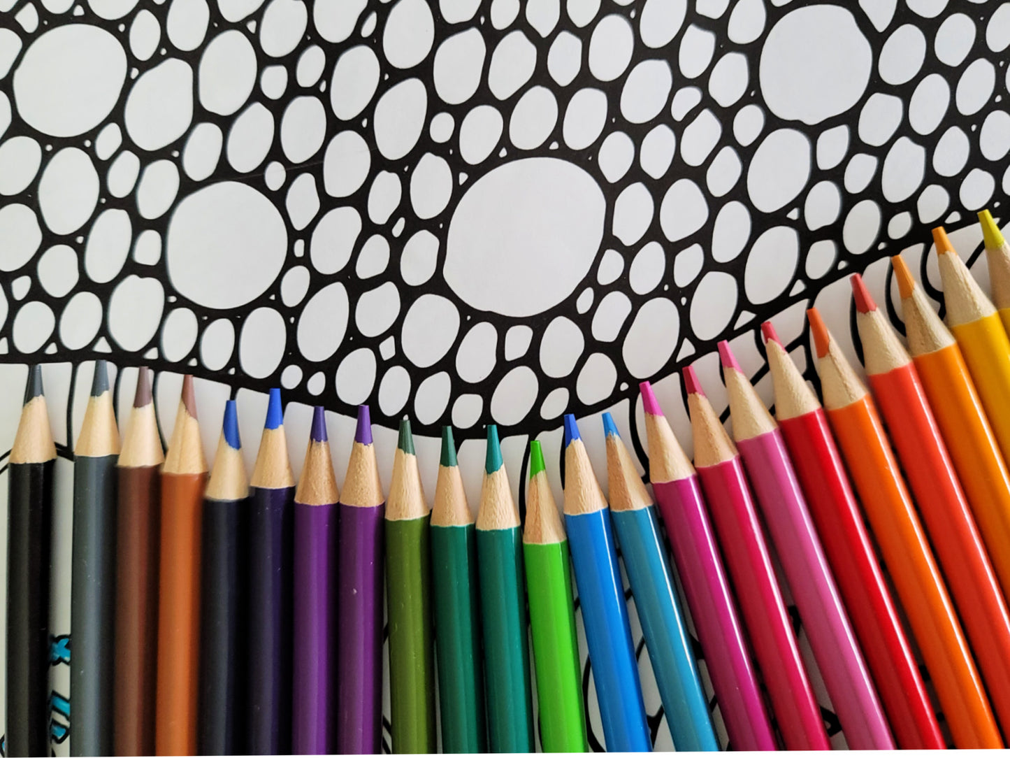 24CT Colored Pencils