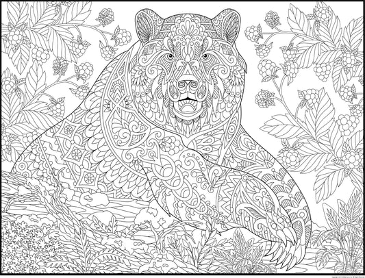 Bear Personalized Giant Coloring Poster 46"x60"