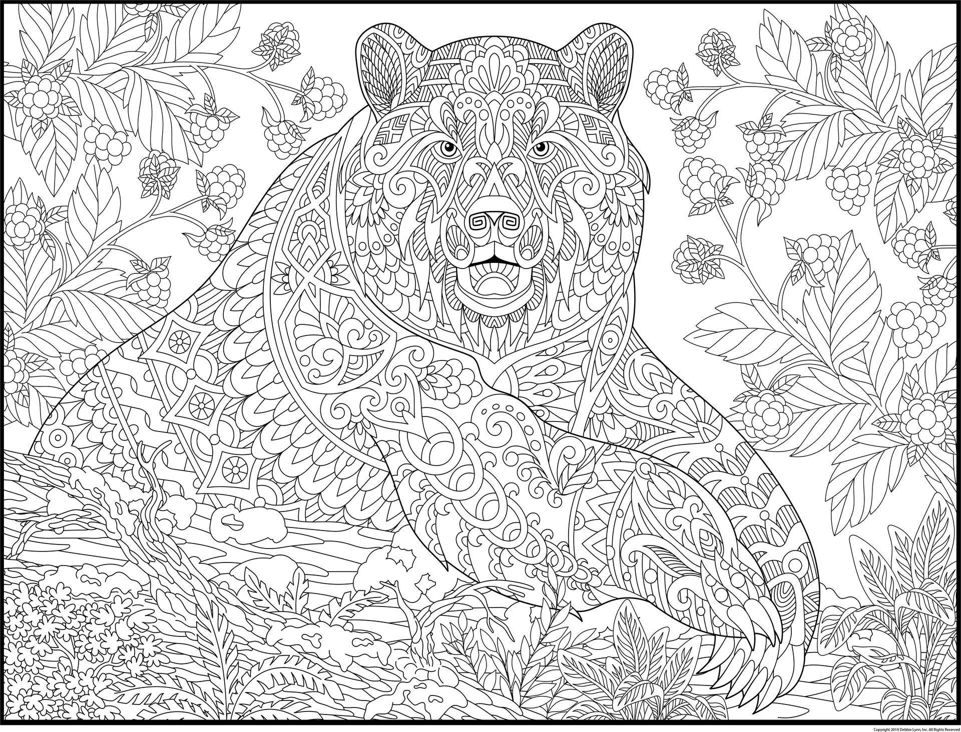 Grizzly bear sur une pierre poster papier 40x60 cm - Tirage photo sur  Poster