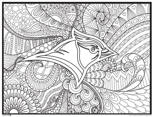Blue Jay Personalized Giant Coloring Poster 46"x60"