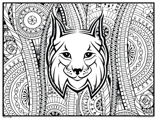 Bob Cat Lynx Personalized Giant Coloring Poster 46"x60"