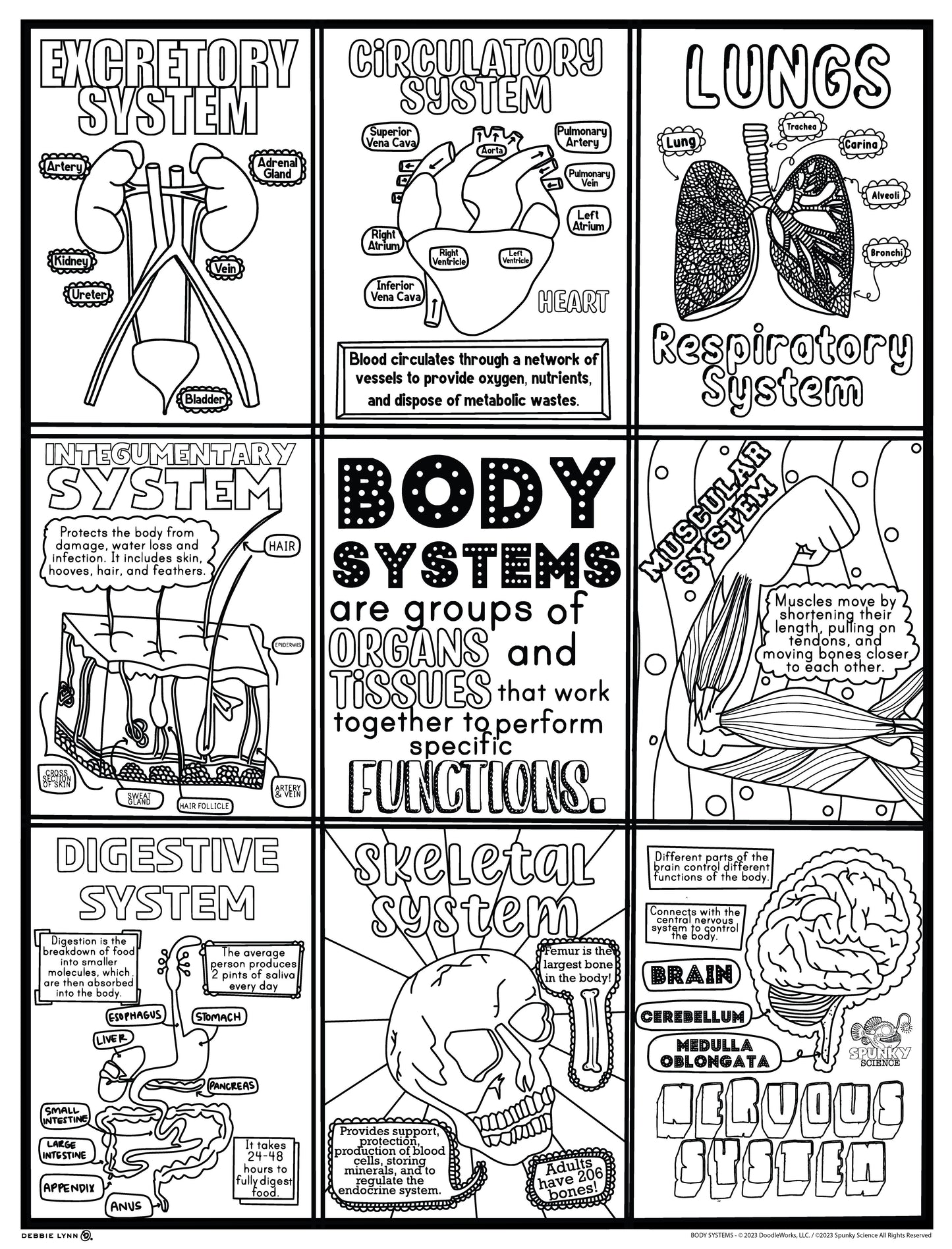Body Systems Spunky Science Personalized Giant Coloring Poster 46"x60"