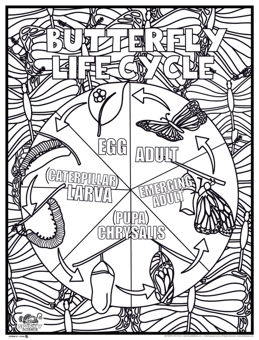 Butterfly Life Cycle Spunky Science Personalized Giant Coloring Poster 46"x60"