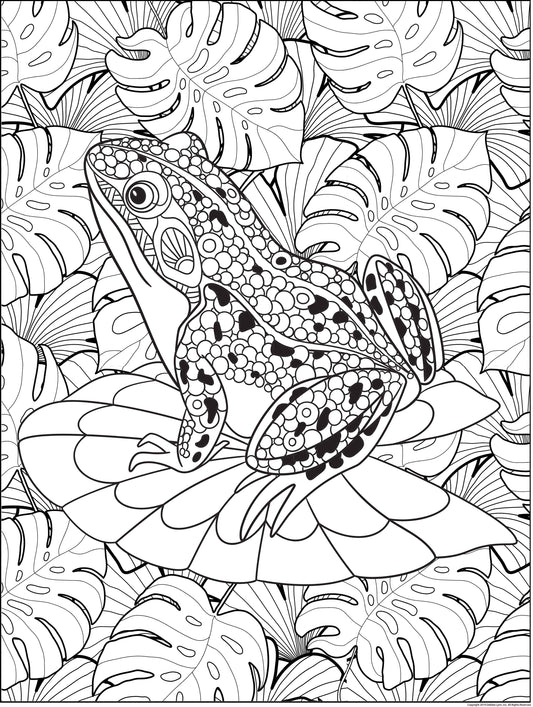 Frog Personalized Giant Coloring Poster 46"x60"