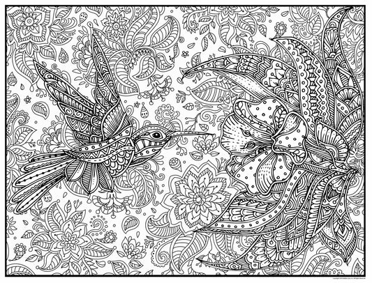 Hummingbird Personalized Giant Coloring Poster 46"x60"