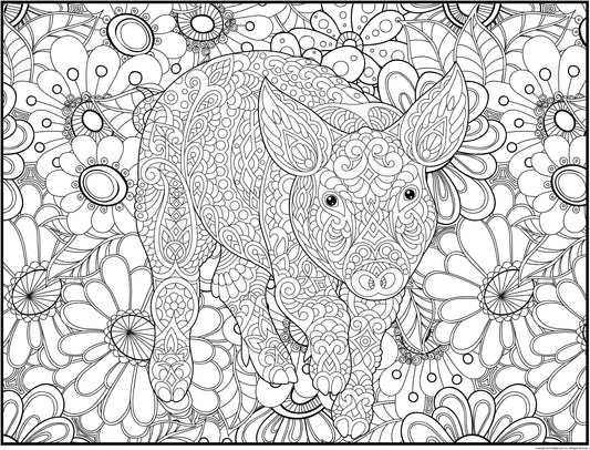 Pig Personalized Giant Coloring Poster 46"x60"
