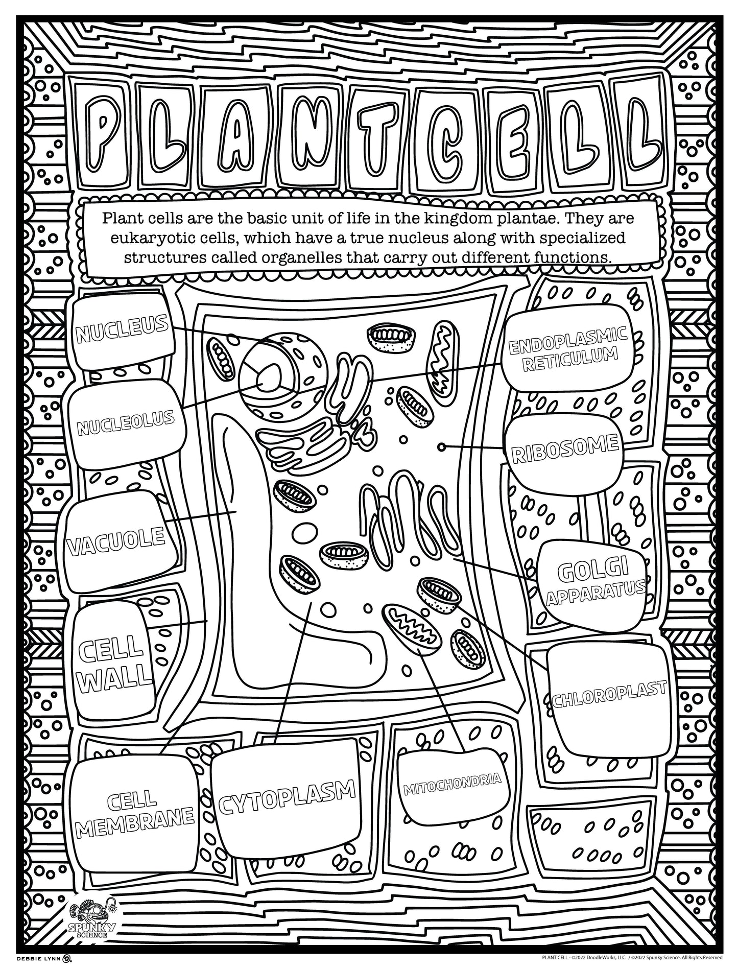 Plant Cells Spunky Science Personalized Giant Coloring Poster 46"x60"