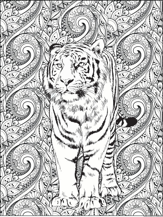 Tiger Personalized Giant Coloring Poster 46"x60"