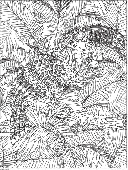 Toucan Personalized Giant Coloring Poster 48"x60"
