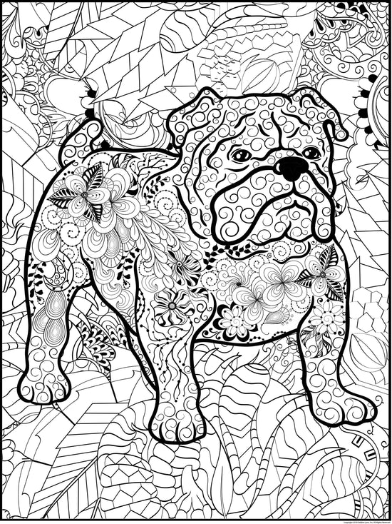 Debbie Lynn Rolled Coloring Posters 24x36 inches | Choose from 30 Desi